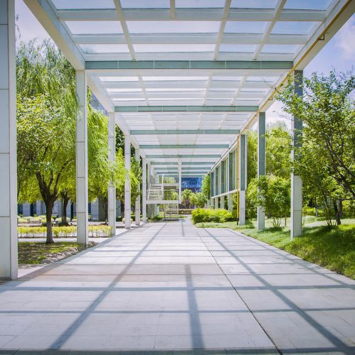 Apollo Industries glass roof over walkway with bright green trees